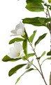 Kunstigt magnolietræ 110 cm